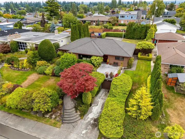 811 Rucker Avenue...a classic mid-century home in north Everett.