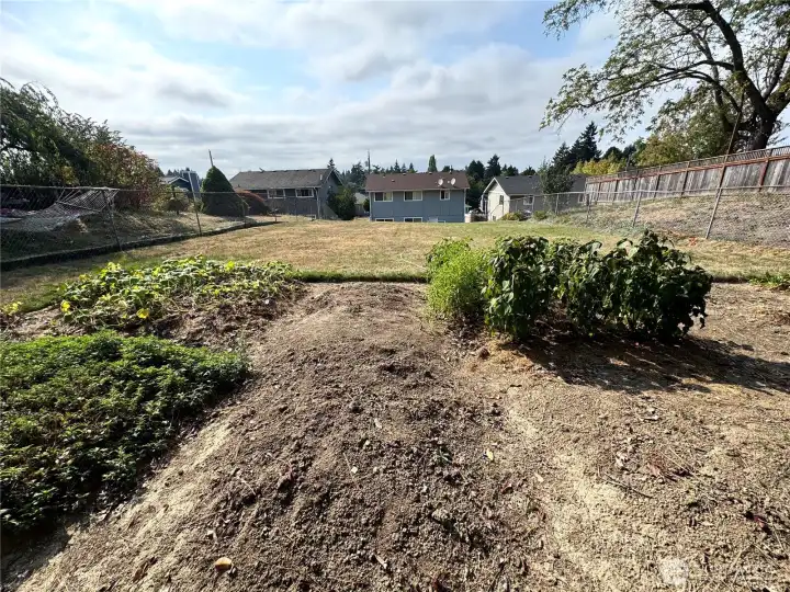 Looking toward house