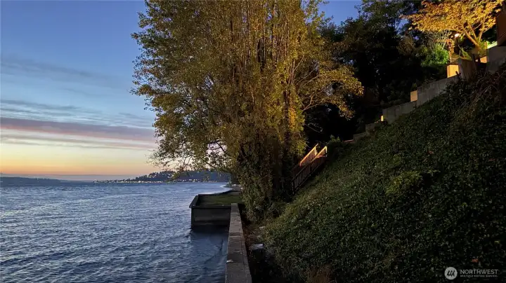 Lighted stairs down to the bulkhead