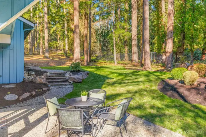 Fully fenced backyard, patio