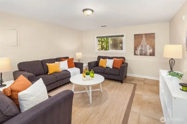 Downstairs rec room