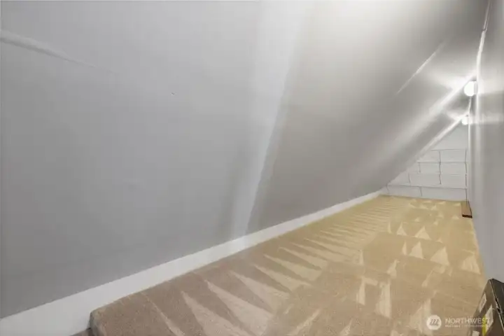 Huge storage area newly carpeted.