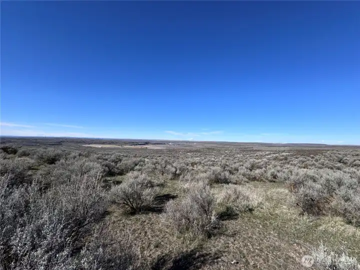 View from the top of the property