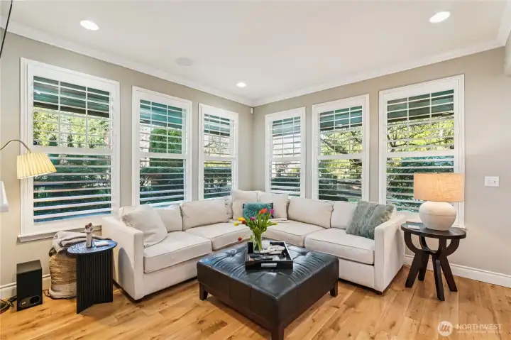 So much natural light! So much natural light!