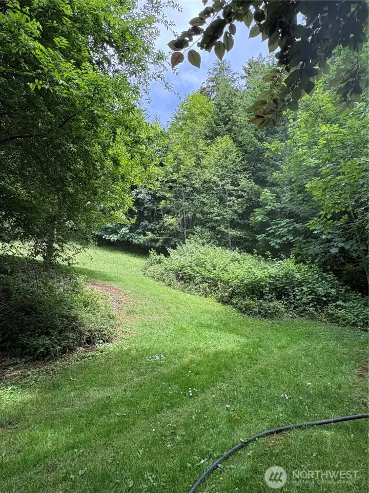 Some of the lot has been maintained by neighbor