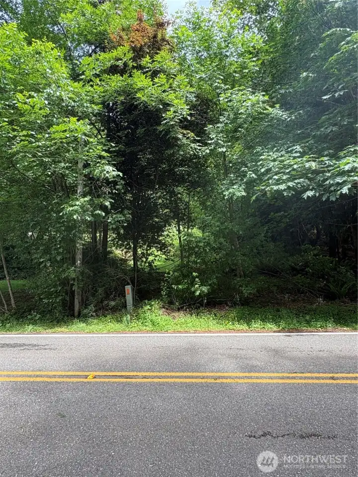 Trees, some open space and slopes up the hill.