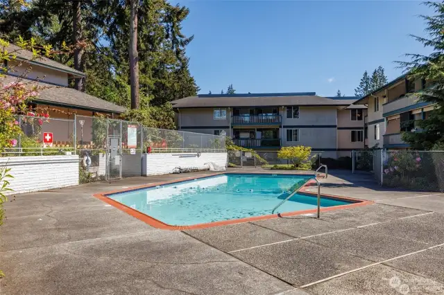 Lounge around the pool all summer long