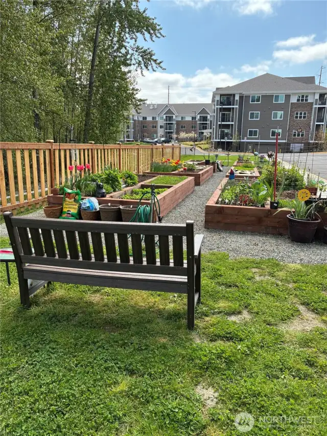 Raised beds for the gardening enthusiasts!