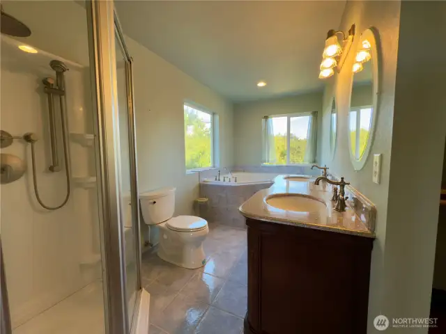 Primary full bath, walk in closet on right