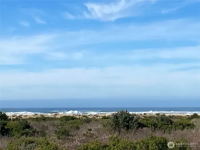 Sweet ocean air