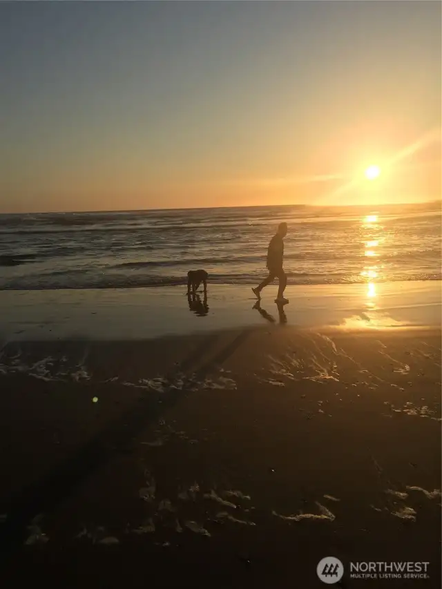 The sea is calling.