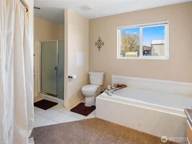 Primary bathroom soaking tub and shower.