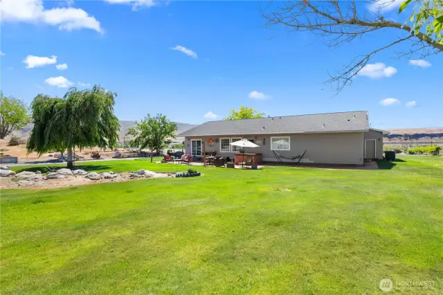 Backyard.