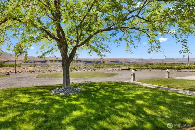 Circular driveway.