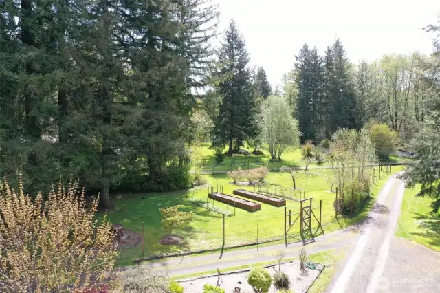 Raised bed garden!