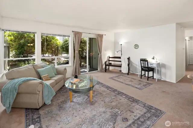 Open living room space with lots of natural light.