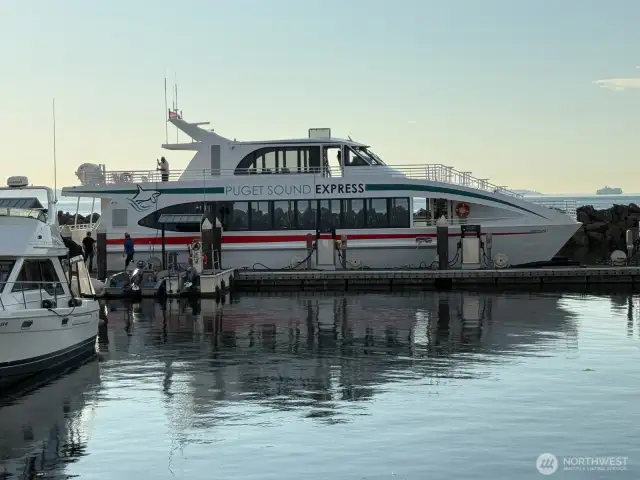 Marina Options