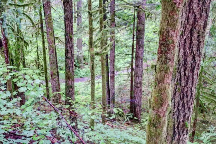 Secluded