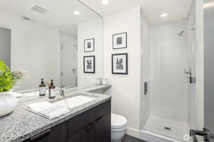 Lower Level Guest Bathroom