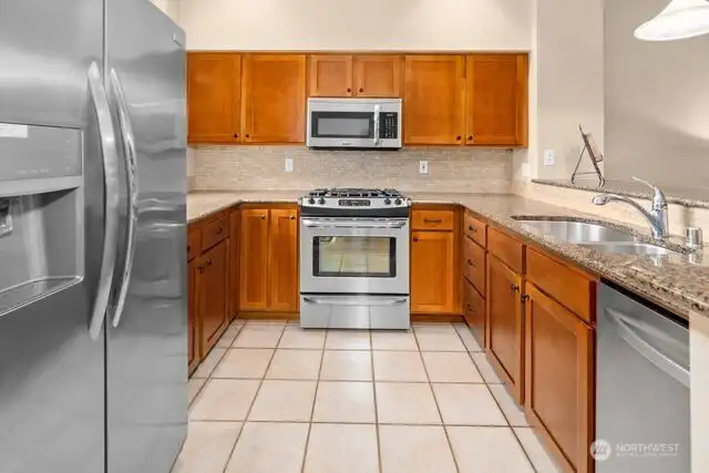 SS Appliances Gas Range