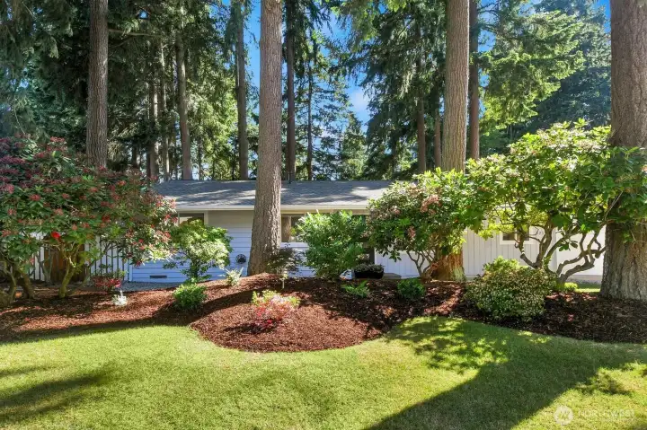 $20,000 landscaping designed for privacy, EZ maintenance and, as viewed from inside...charming!