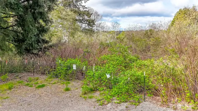 Septic system may be an option or city sewer.