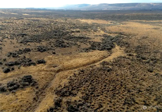 Old creek bed