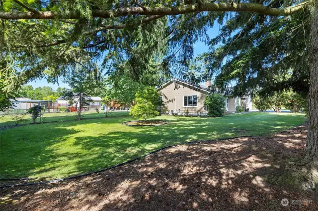 ~Corner of entire front & side spacious yard~