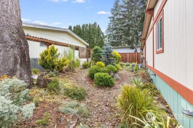 Backyard - walking paths and gardens