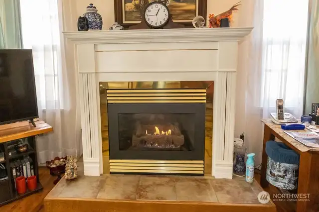 Gas fireplace