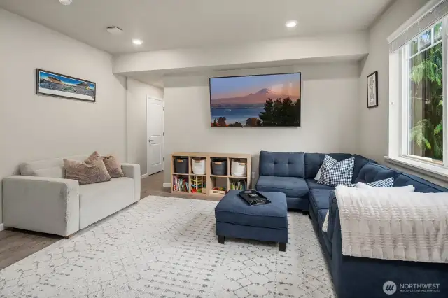 Family Room - Lower Level