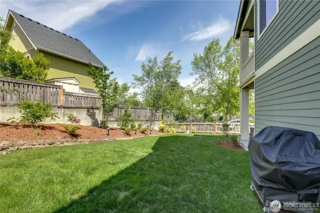Side yard facing sidewalk, showing BBQ area.