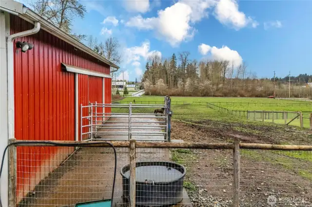 Property is fully fenced and crossed fenced for horses and cattle. 24 x 12 for cattle leading into alley with Priefert headgate.