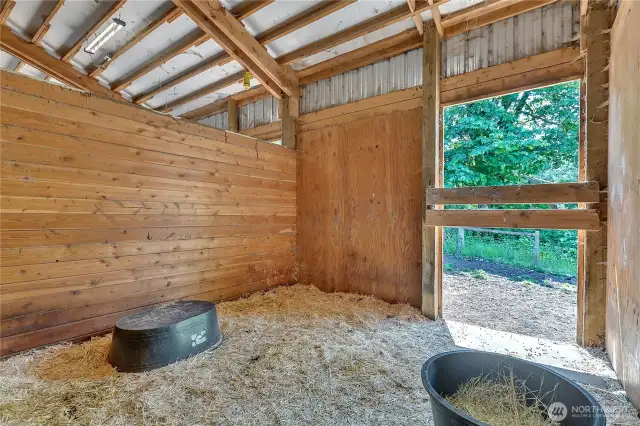 Just one of the three horse stalls