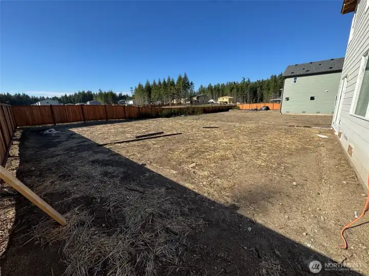 large backyard