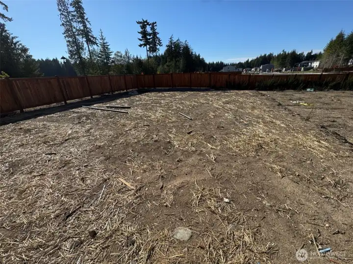 large backyard