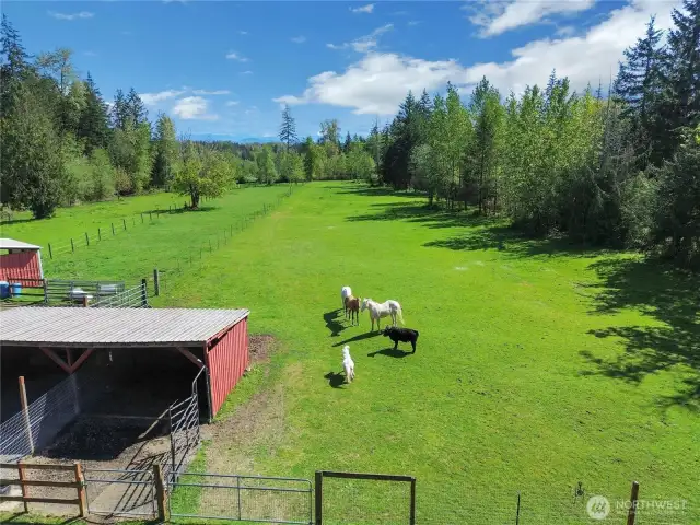 Main pasture