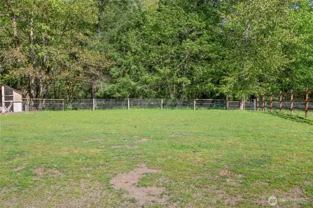 side pasture #3