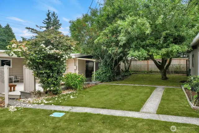 walkway from patio to detached garage/workshop