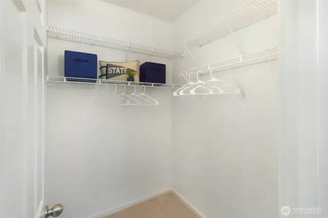 Large walk-in closet in the primary.