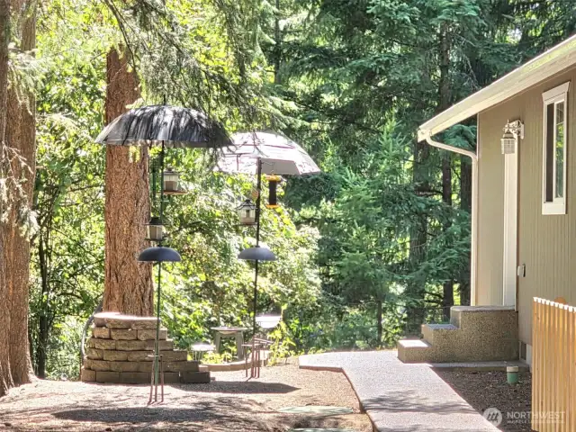 Delightful side yard.  bird sanctuary
