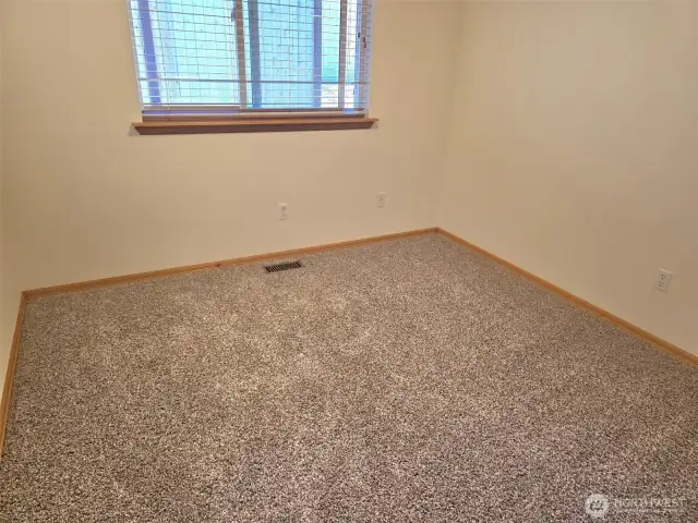 new carpet