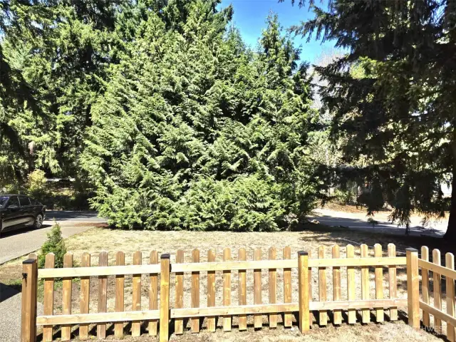 Cedars in front give privacy from the road.