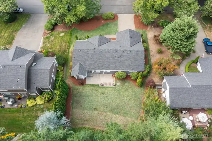 ~Arial View of Backyard~