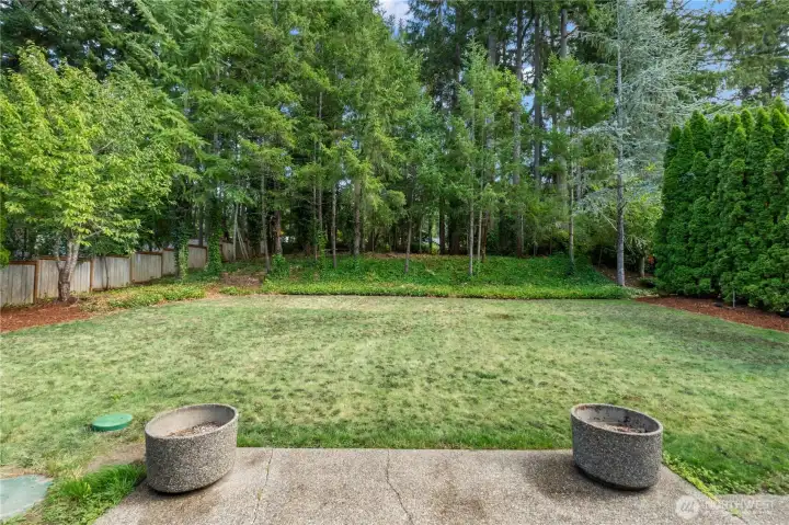 ~HUGE Backyard~