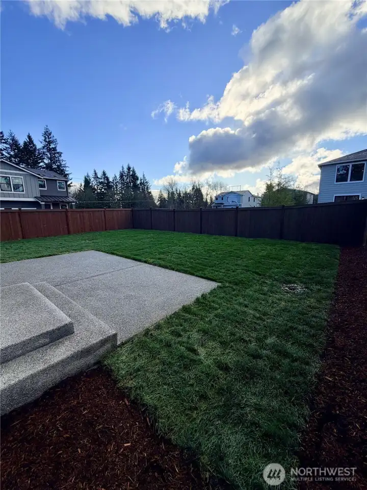 Awesome light flooding in the South facing spacious back yard!