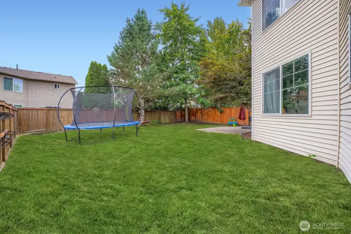Spacious fully fenced backyard