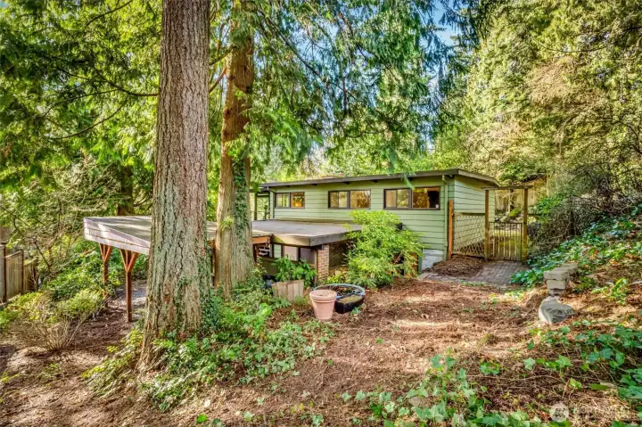 Imagine living in the woods, but you can still get to Seattle in just a few minutes!