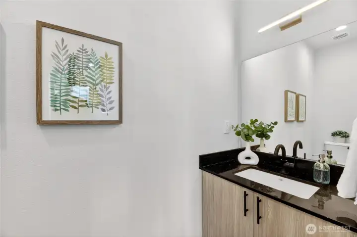 Large Living Level Powder Room.