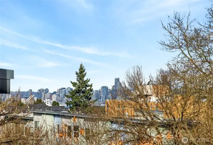 City and Mt. Baker Views out Your Primary Bedroom Window!